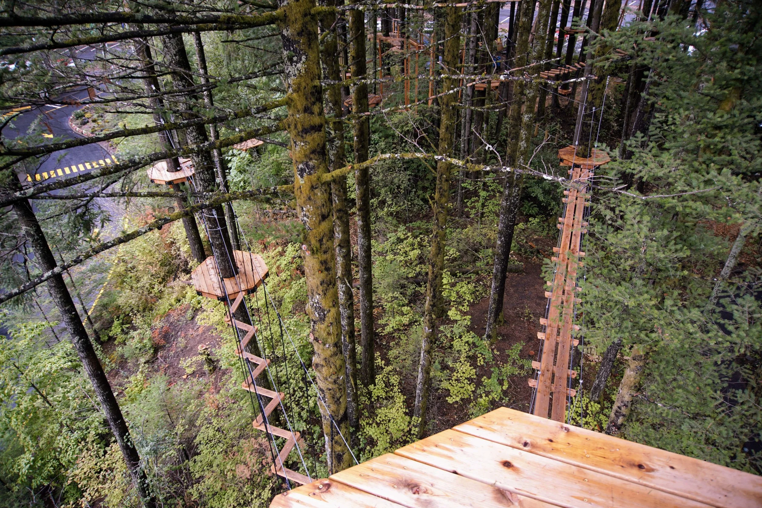 Skamania Lodge Has A New Aerial Park! — Pacific North Wanderers
